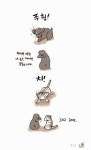 [중고] 내 어린고양이와 늙은개 2 | 초(정솔) 글.그림 | 알라딘 [중고] 내 어린고양이와 늙은개 2 | 초(정솔) 글.그림