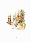 알라딘: [중고] The Tale of Peter Rabbit 피터 래빗 이야기 [중고] The Tale of Peter Rabbit 피터 래빗 이야기