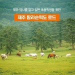 탐라순력도 따라 제주 역사 여행 | 지식의 힘 9 | 김은하 | 알라딘 탐라순력도 따라 제주 역사 여행 | 지식의 힘 9 | 김은하