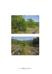 행복을 심는 주말농장 이야기 | 박순옥 | 알라딘 행복을 심는 주말농장 이야기 | 박순옥