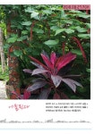 알라딘: 율국당 마마 베트남 가다 율국당 마마 베트남 가다