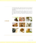 나만 없어, 냥냥이 | 해든아침 편집부 엮음, 하니동물병원 감수 | 알라딘 나만 없어, 냥냥이 | 해든아침 편집부 엮음, 하니동물병원 감수
