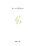 [중고] 할아버지의 감나무 | 서진선 | 알라딘 [중고] 할아버지의 감나무 | 서진선