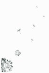 [중고] 나 그대와의 동행 | 송애란 | 알라딘 [중고] 나 그대와의 동행 | 송애란