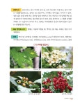 [중고] 우리 산야의 야생 약초 도감 : 알라딘