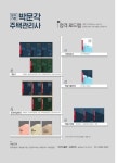 알라딘: [중고] 2019 박문각 주택관리사 핵심요약집 1차 회계원리 [중고] 2019 박문각 주택관리사 핵심요약집 1차 회계원리
