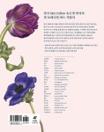 [중고] 기초 보태니컬 아트 : 알라딘