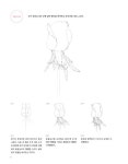기초 보태니컬 아트 세트 (본책 + 컬러링북) - 전2권 | 기초 보태니컬 아트 | 송은영 | 알라딘 기초 보태니컬 아트 세트 (본책 + 컬러링북) - 전2권... 