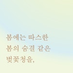 계절의 맛 | 정보화 | 알라딘 계절의 맛 | 정보화