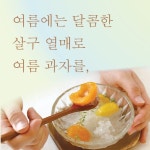 계절의 맛 | 정보화 | 알라딘 계절의 맛 | 정보화