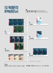 2019 박문각 주택관리사 합격예상문제 2차 공동주택관리실무 | 2019 박문각 주택관리사 합격예상문제 | 김혁.박문각 주택관리연구소 | 알라딘... 