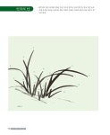 알라딘: 임천 이지향의 문인화 길잡이 : 난초편 1 - 기본실기, 개정증보판 임천 이지향의 문인화 길잡이 : 난초편 1 - 기본실기, 개정증보판
