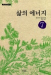 삶의 에너지 : 알라딘