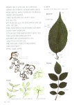 [중고] 사계절 생태놀이 - 여름 | 알라딘 [중고] 사계절 생태놀이 - 여름