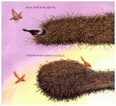 [중고] 여러 가지 새 둥지 | 알라딘 [중고] 여러 가지 새 둥지