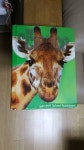 알라딘: [중고] HSP Science (Hardcover, 2009년판) [중고] HSP Science (Hardcover, 2009년판)