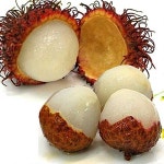 [초특가]상큼달콤 열대과일[리치/람부탄/망고스틴/롱간/냉동딸기/골라1]... 열대과일[리치/람부탄/망고스틴/롱간/냉동딸기/골라1]과일/칵테일... 