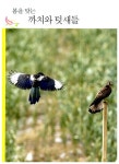 [중고] 여울이의 새 관찰 일기 | 우종철 | 알라딘 [중고] 여울이의 새 관찰 일기 | 우종철