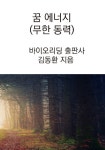 알라딘: 꿈 에너지 (무한 동력) 꿈 에너지 (무한 동력)