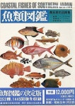 어류도감 魚類&#22259;鑑 (COASTAL FISHES OF SOUTHERN JAPAN)　　　 : 알라딘 어류도감 魚類図鑑 (COASTAL FISHES OF SOUTHERN... 
