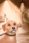 [중고] 천사동물병원의 수상한 사람들 | 우성희 | 알라딘 [중고] 천사동물병원의 수상한 사람들 | 우성희