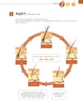수의사와 보호자가 함께 보는 반려동물 아틀라스 시리즈 : 피부과 진단 (스프링) | 수의사와 보호자가 함께 보는 반려동물 아틀라스... 
