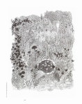 인셀덤량데뷰2 | 알라딘: [중고] debut 데뷰 2호 [중고] debut 데뷰 2호