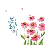 수채 캘리그라피 컬러링북 | 오선미 | 알라딘 수채 캘리그라피 컬러링북 | 오선미