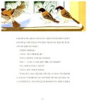 전나무 : 알라딘