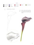 [중고] 꽃 세밀화 보태니컬 아트 | 이해련 | 알라딘 [중고] 꽃 세밀화 보태니컬 아트 | 이해련