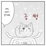 [전자책] 어서 오세요, 멍냥 동물병원입니다 | 도미타 키비 | 알라딘 어서 오세요, 멍냥 동물병원입니다 | 도미타 키비