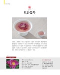 알라딘: [중고] 사계절 꽃차의 정석 [중고] 사계절 꽃차의 정석