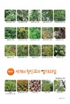 세계의 약초와 향신료 | 박종철 | 알라딘 세계의 약초와 향신료 | 박종철