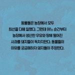 동물농장 : 알라딘