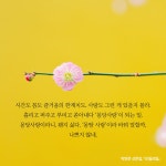 모월모일 : 알라딘