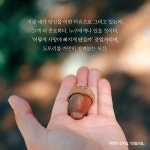 모월모일 : 알라딘