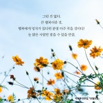 모월모일 : 알라딘