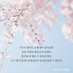 모월모일 : 알라딘