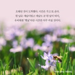 모월모일 : 알라딘