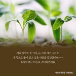 모월모일 : 알라딘