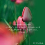 모월모일 : 알라딘