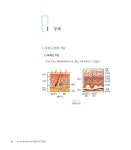 박경희헤어팝 | 헤어 붙임머리 증모술 | 박경희 외 | 알라딘 헤어 붙임머리 증모술 | 박경희 외
