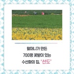 알라딘: 신안 신안