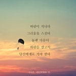 비로소 시 : 알라딘