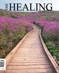 더 힐링 The Healing 2020.5 | 약사신문(월간지) 편집부 | 알라딘 더 힐링 The Healing 2020.5 | 약사신문(월간지) 편집부