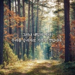 알라딘: [전자책] 꽃잎처럼 [전자책] 꽃잎처럼