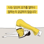 카드리뷰 : 알라딘