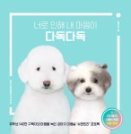 다독다독 : 알라딘