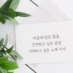 지수정의 수채 캘리그라피 | 지수정의 캘리그라피 | 지수정 | 알라딘 지수정의 수채 캘리그라피 | 지수정의 캘리그라피  | 지수정