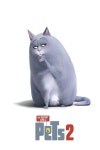 The Secret Life Of Pets 2: Screenplay (Paperback) : 알라딘